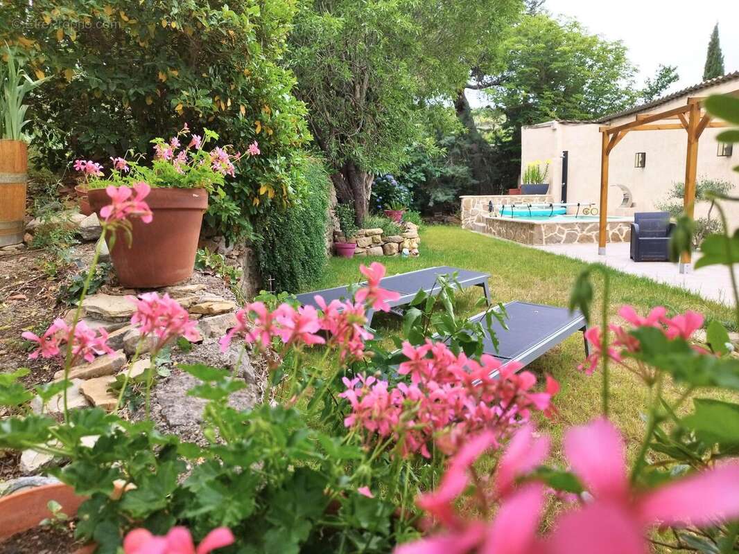Photo 3 - Maison à MONTBRUN-DES-CORBIERES