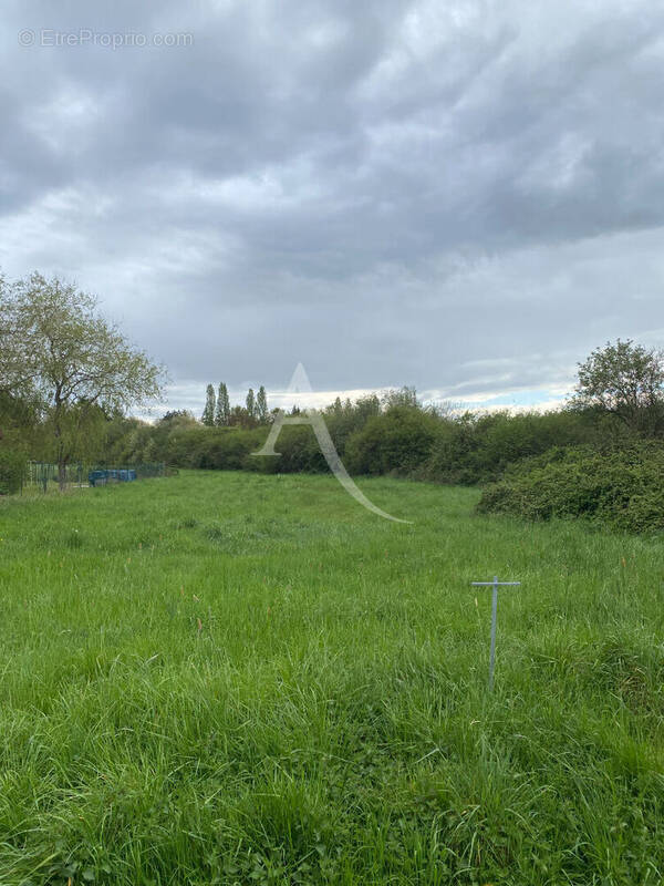 Terrain à CHATENOY