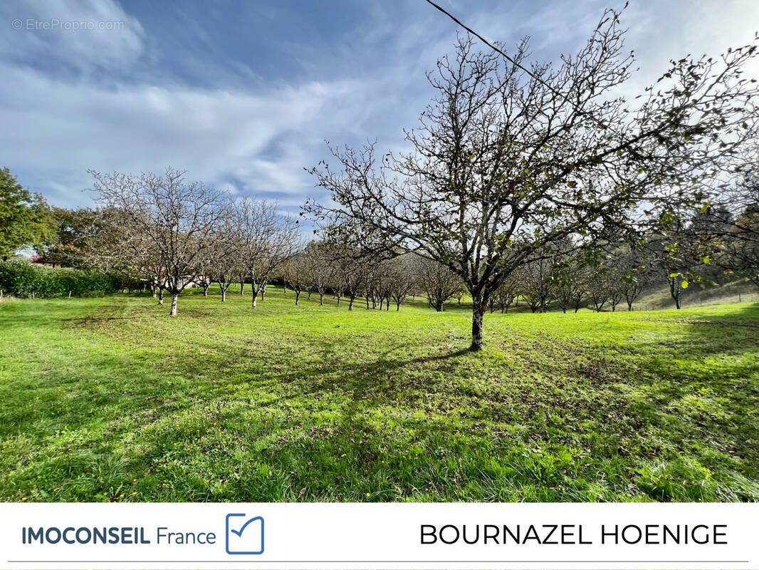 Terrain à TERRASSON-LAVILLEDIEU