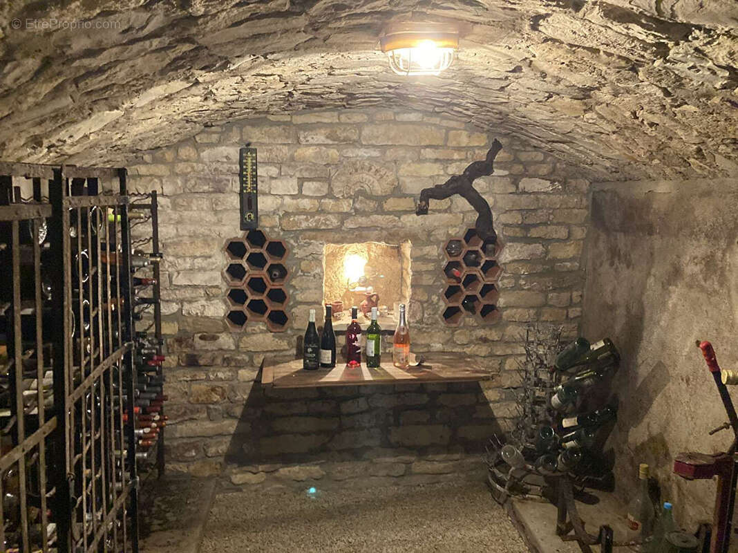 Maison Nieul sur Mer, 3 chambres, 3 garages, piscine, dépendances. - photo 12