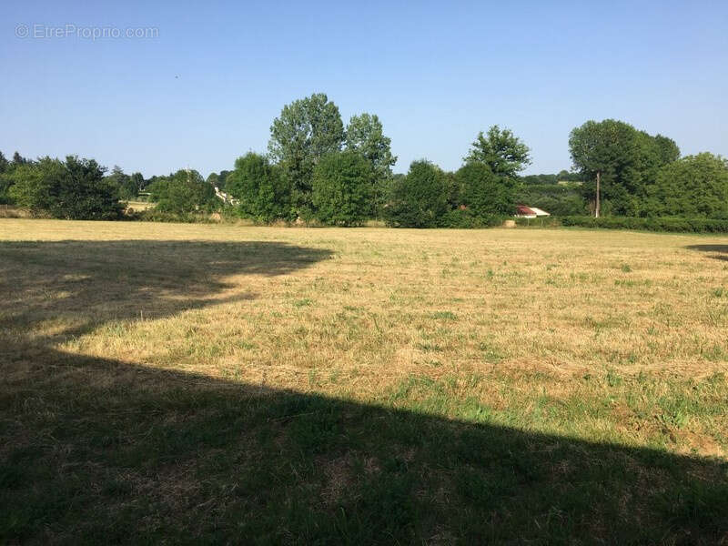 Terrain de 3 000 m2 - photo 2