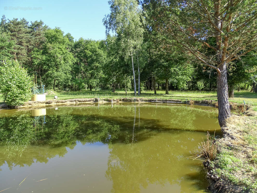 Maison à CHATRES-SUR-CHER