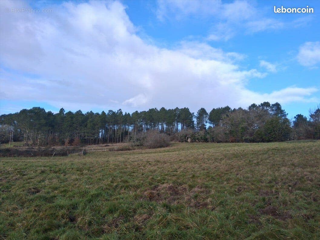 Terrain à FRAISSE