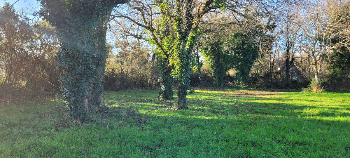 Terrain 604 m² à Moelan-Sur-Mer  - photo 2