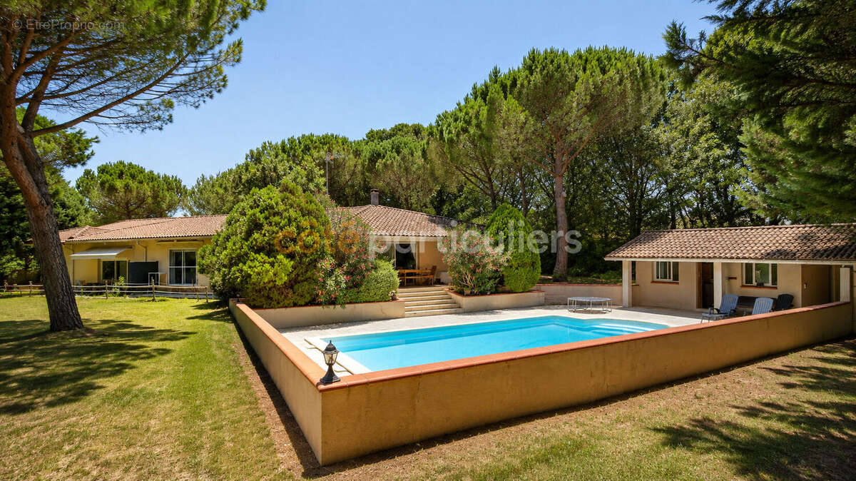 Maison d'architecte  de 250m2 à Ambres - photo 2