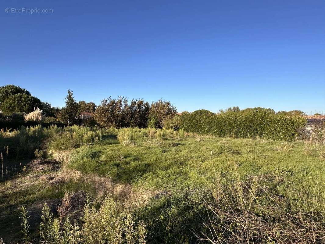 Terrain à LAPEYROUSE-FOSSAT
