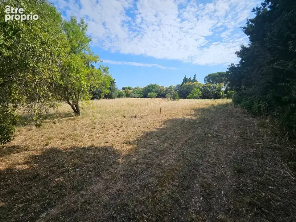 Terrain 780 m² à vendre à Fontvieille (13990) - photo 4