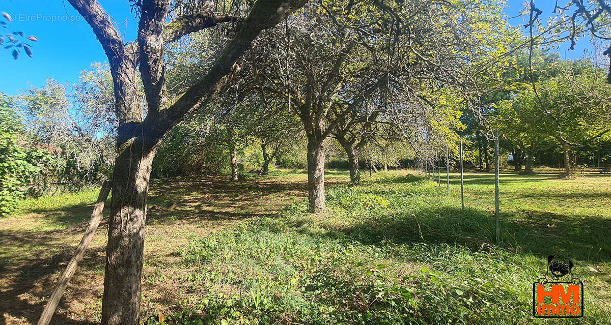 Terrain à LEMPZOURS