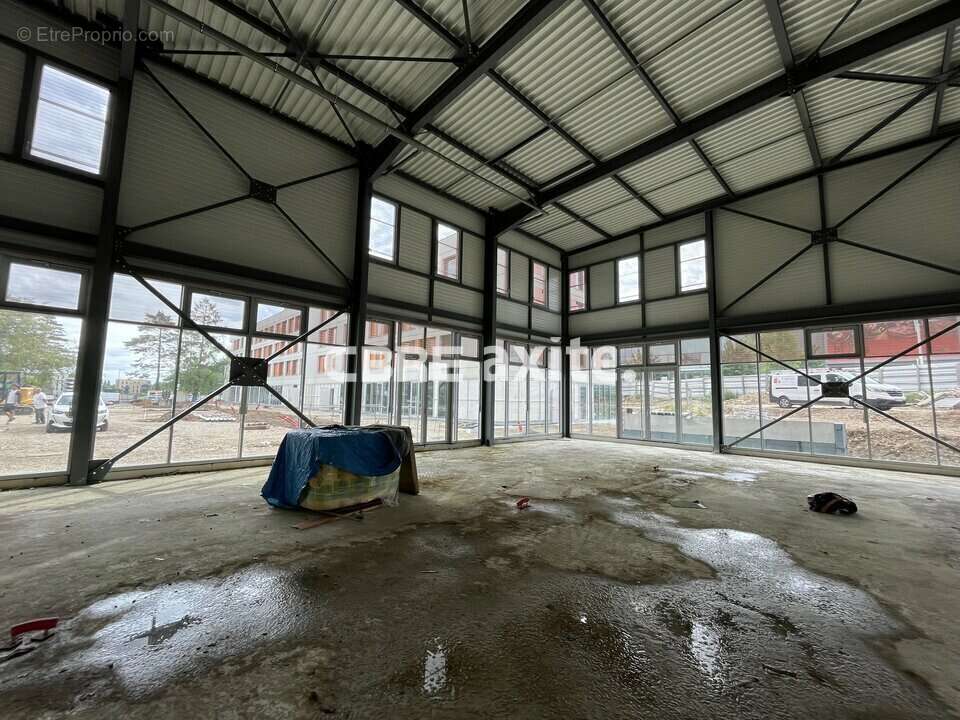 761 m² à Ferney-Voltaire  - photo 7