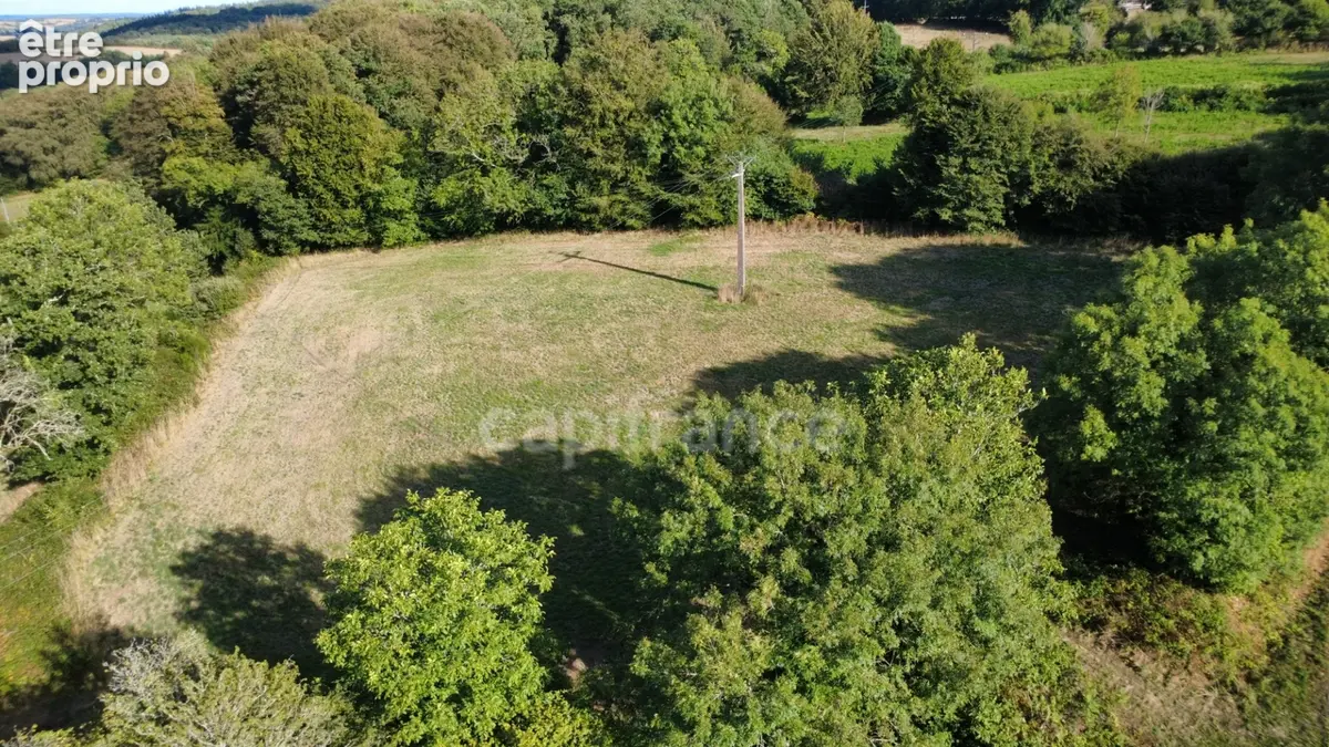 Maison en pierre avec plus d’un hectare de terrain – Berrien - photo 11