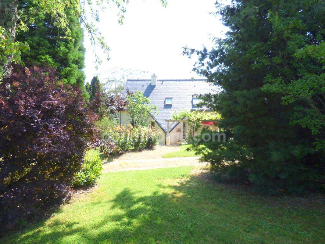 Maison 4 chambres, sous-sol et magnifique jardin - photo 13