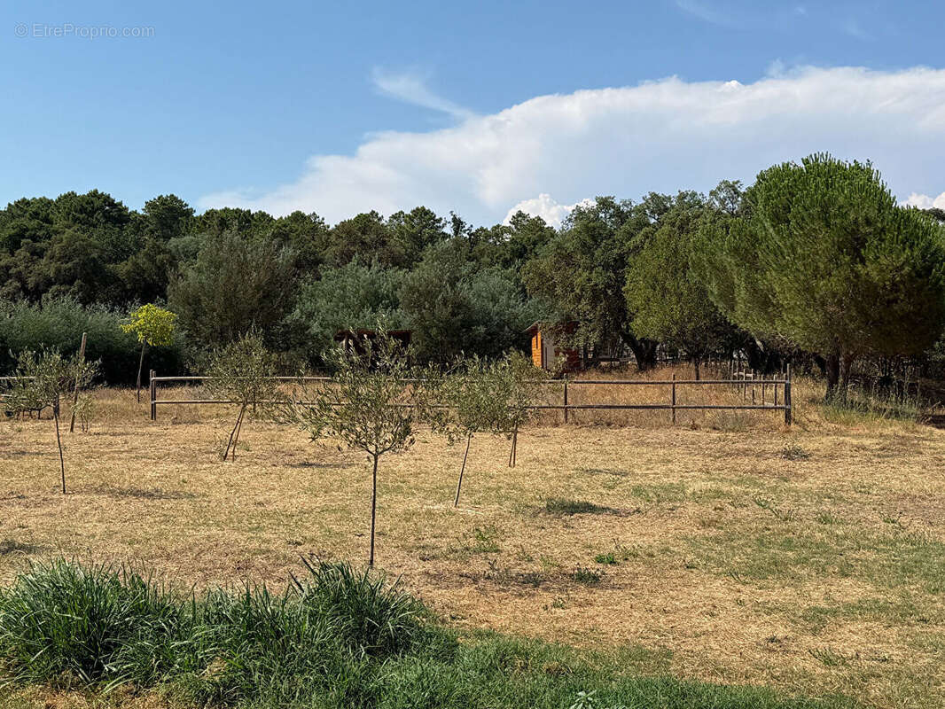 Villa Roquebrune Sur Argens 4 pièce(s) 150 m2 - photo 4