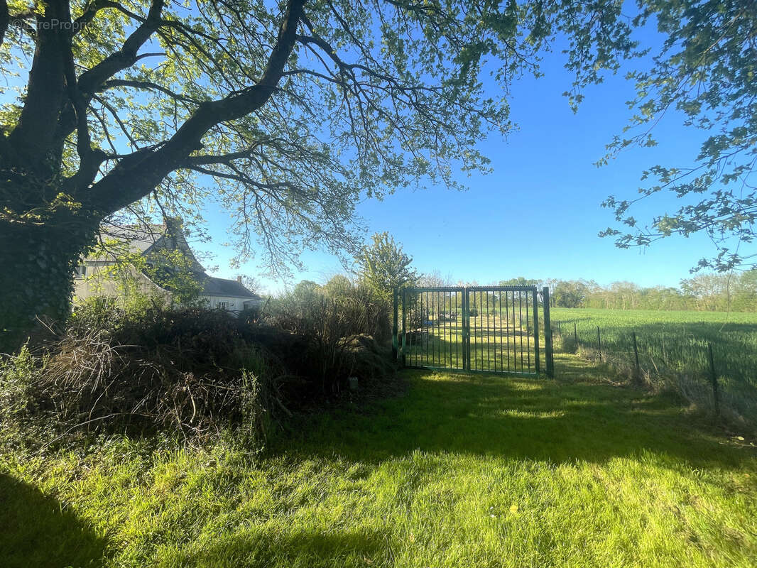 Ligné - Maison familiale dans un bel environnement - photo 2