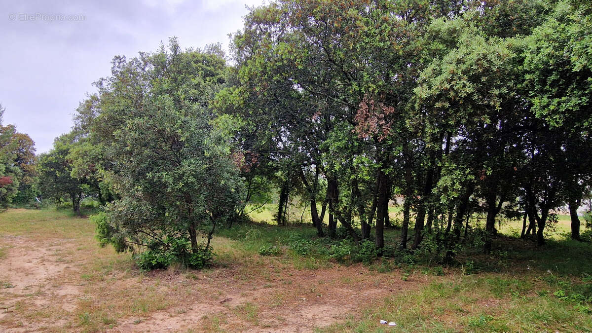 Terrain à LA BOISSIERE