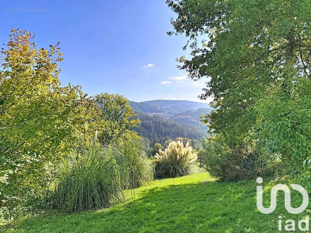 Photo 3 - Maison à LA CHAPELLE-AGNON