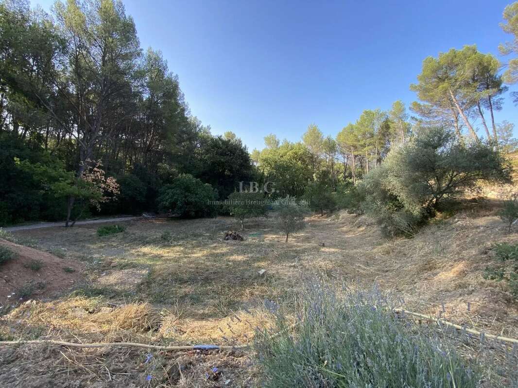 Maison à LA BOUILLADISSE