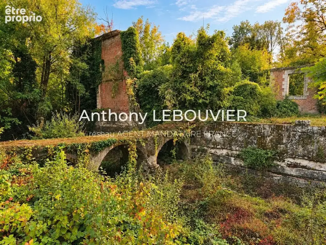 Propriété de caractère sur environ 20 hectares – axe laon / reims - photo 19