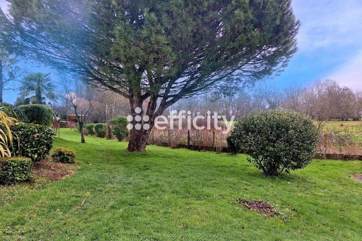 Maison à LE CELLIER