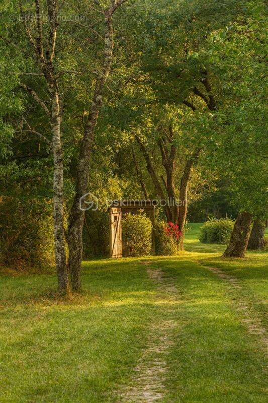 Terrain à SAVONNIERES