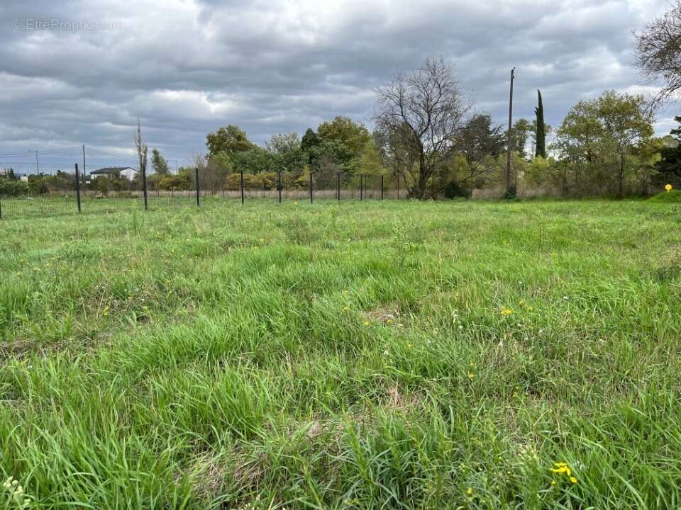 Terrain à MONTELIMAR