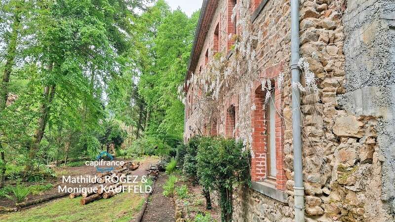 Grande demeure de charme + gîte + grand terrain - Tours-sur-Meymont - photo 16
