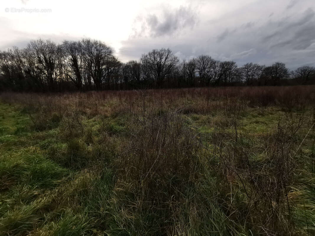Maison à CHATRES-SUR-CHER