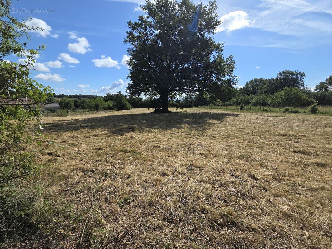 Saint Sylvestre Pragoulin - Maison 96 m2, 4 chambres, garage. - photo 3
