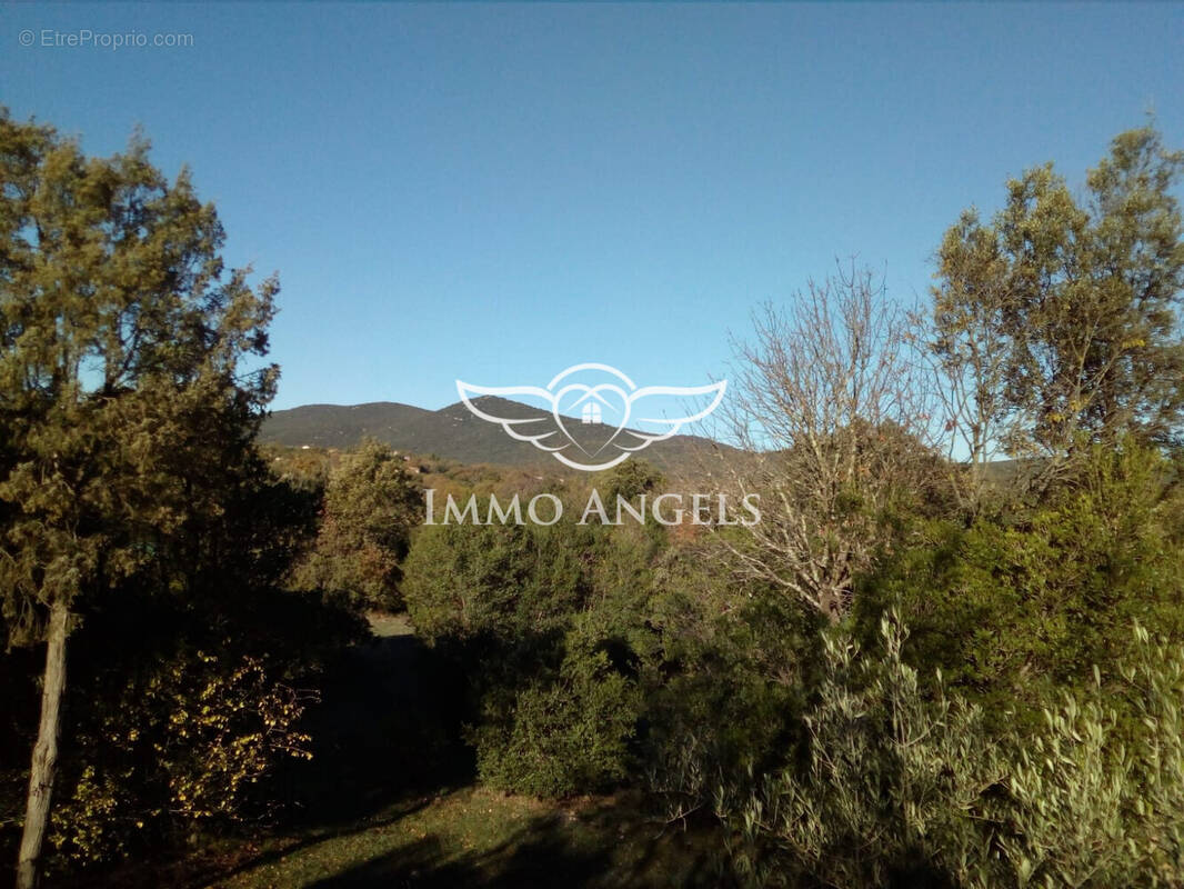 Terrain à VIOLS-EN-LAVAL