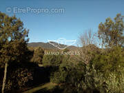 Terrain à VIOLS-EN-LAVAL