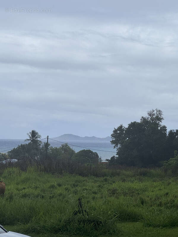 Terrain à CAPESTERRE-BELLE-EAU