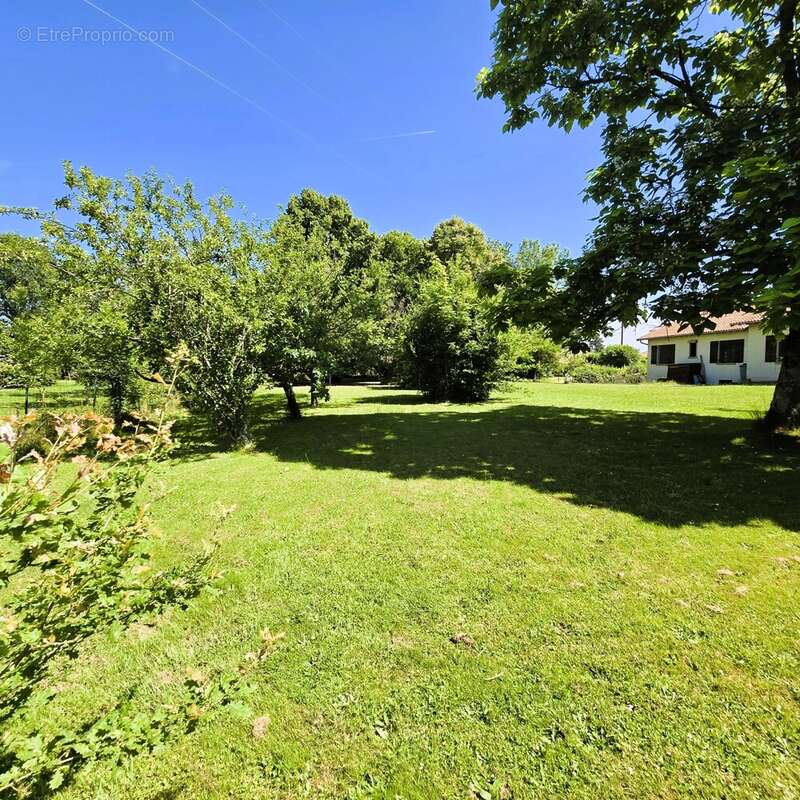 Maison à SAINT-CYR-SUR-MENTHON