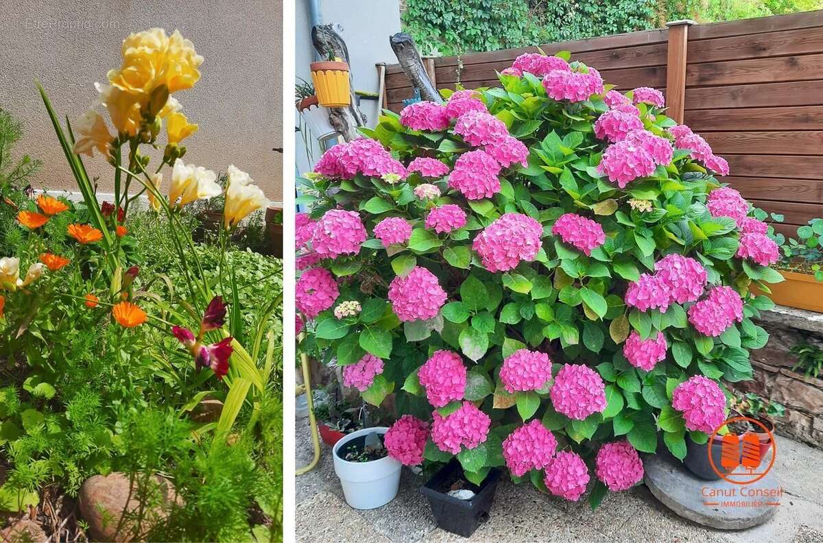 Appartement à CALUIRE-ET-CUIRE