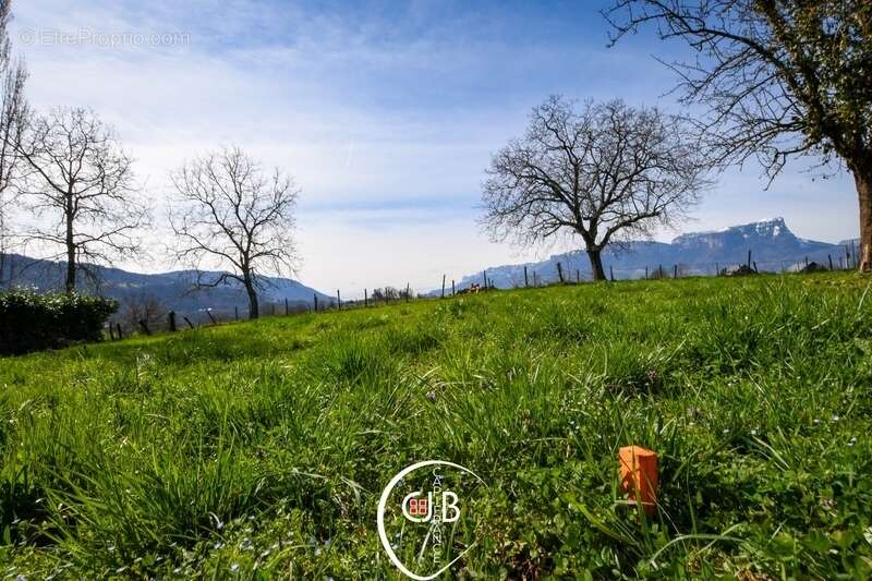 Planaise – Terrain constructible de 473 m² viabilisé - photo 4