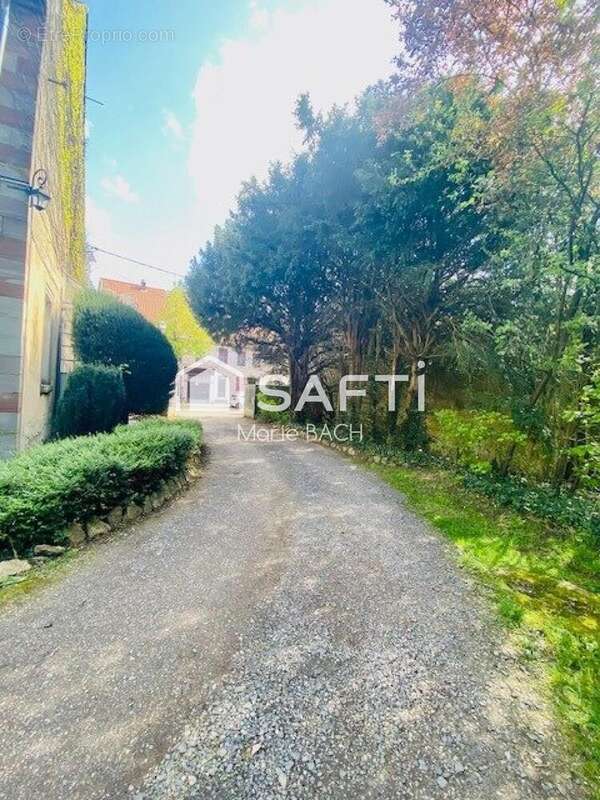 Photo 3 - Appartement à SARRE-UNION