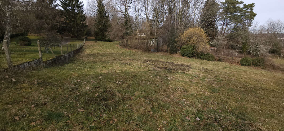 Terrain à CHATEAUNEUF-LA-FORET