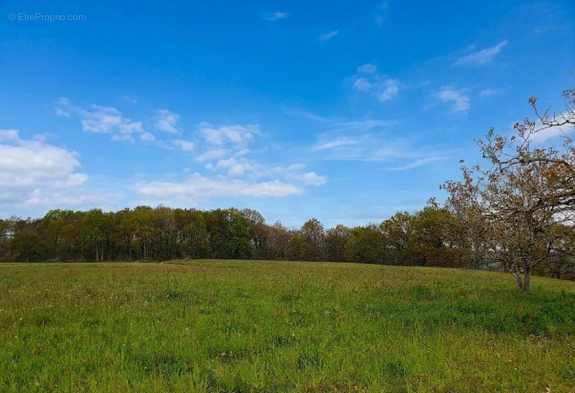 Terrain à CASTAIGNOS-SOUSLENS