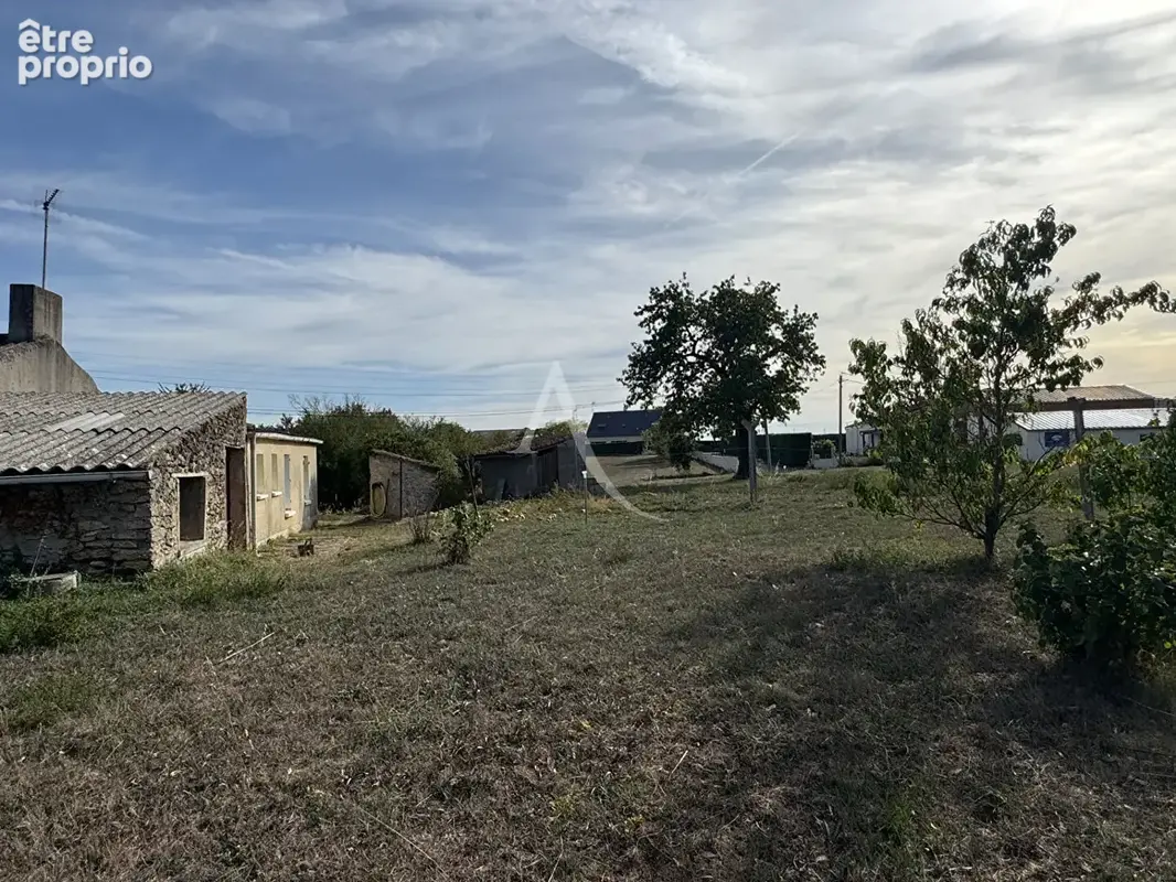 Maison Bellevigne En Layon - photo 15