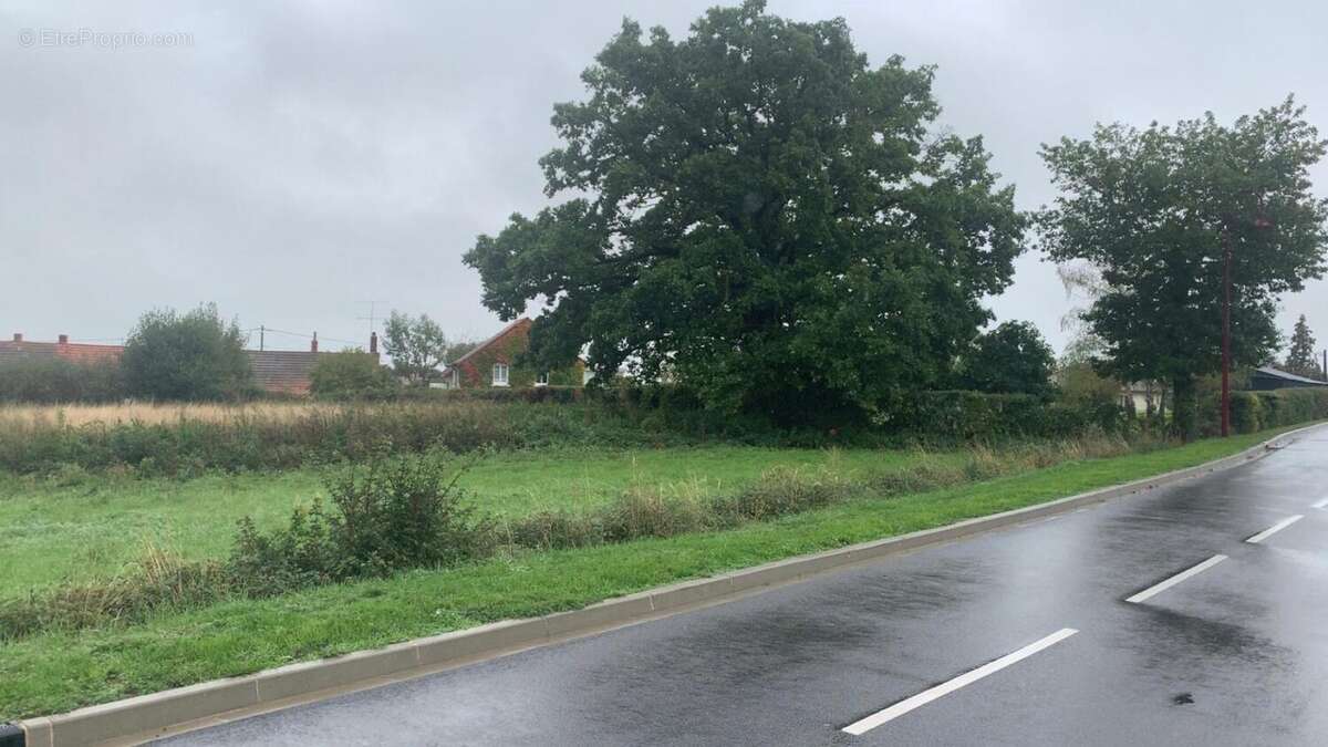 Photo 3 - Terrain à CHAMBLET