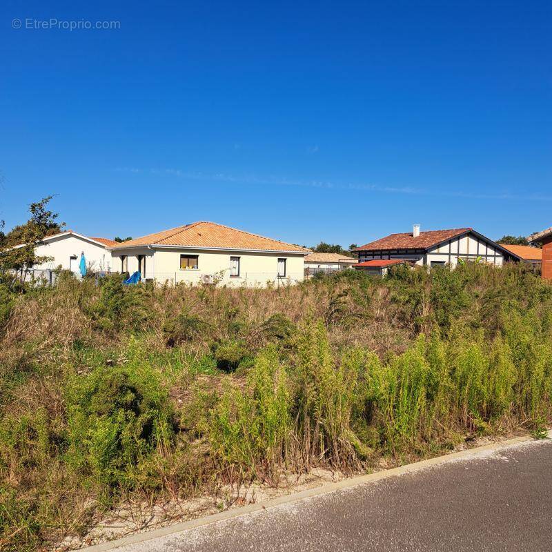 Terrain à PARENTIS-EN-BORN