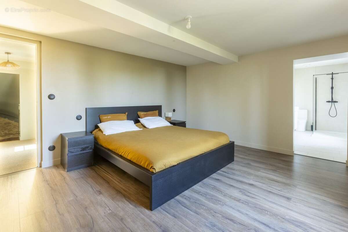 Maison à MAS-SAINTES-PUELLES