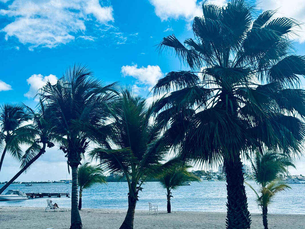 Appartement à SAINT-MARTIN