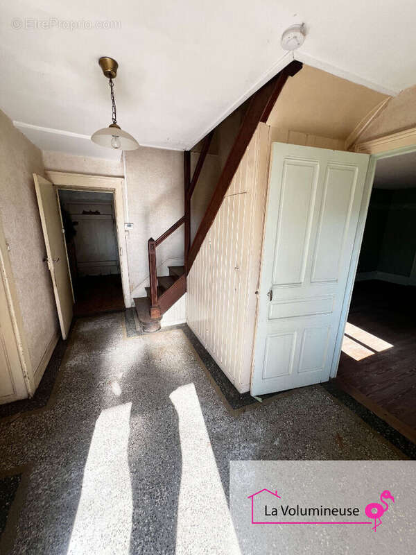 La Volumineuse - photo 2