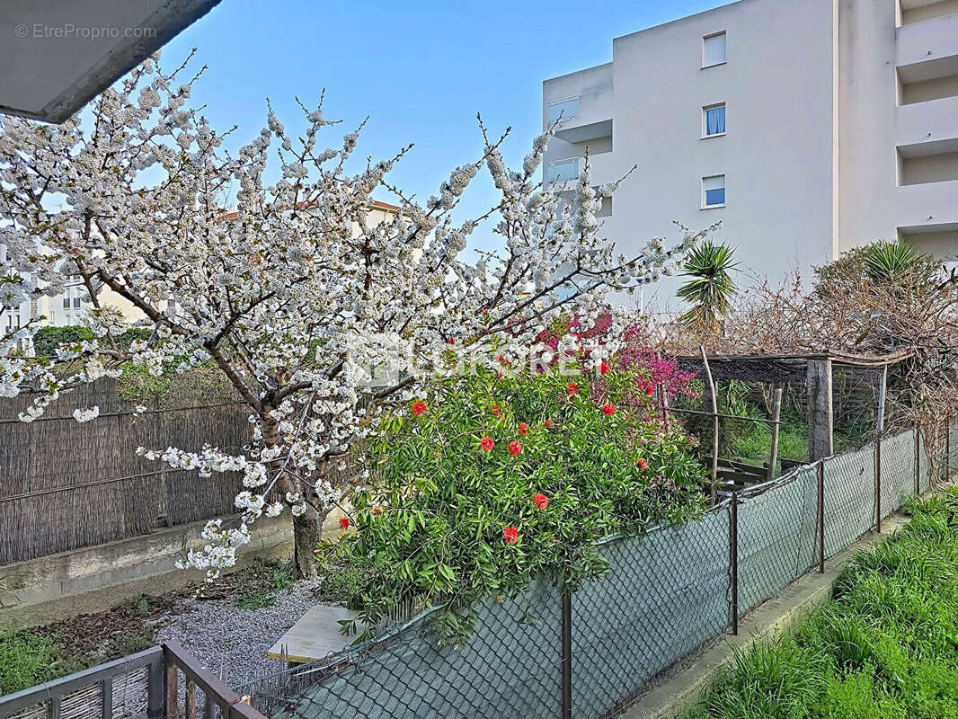 Appartement à ILLE-SUR-TET