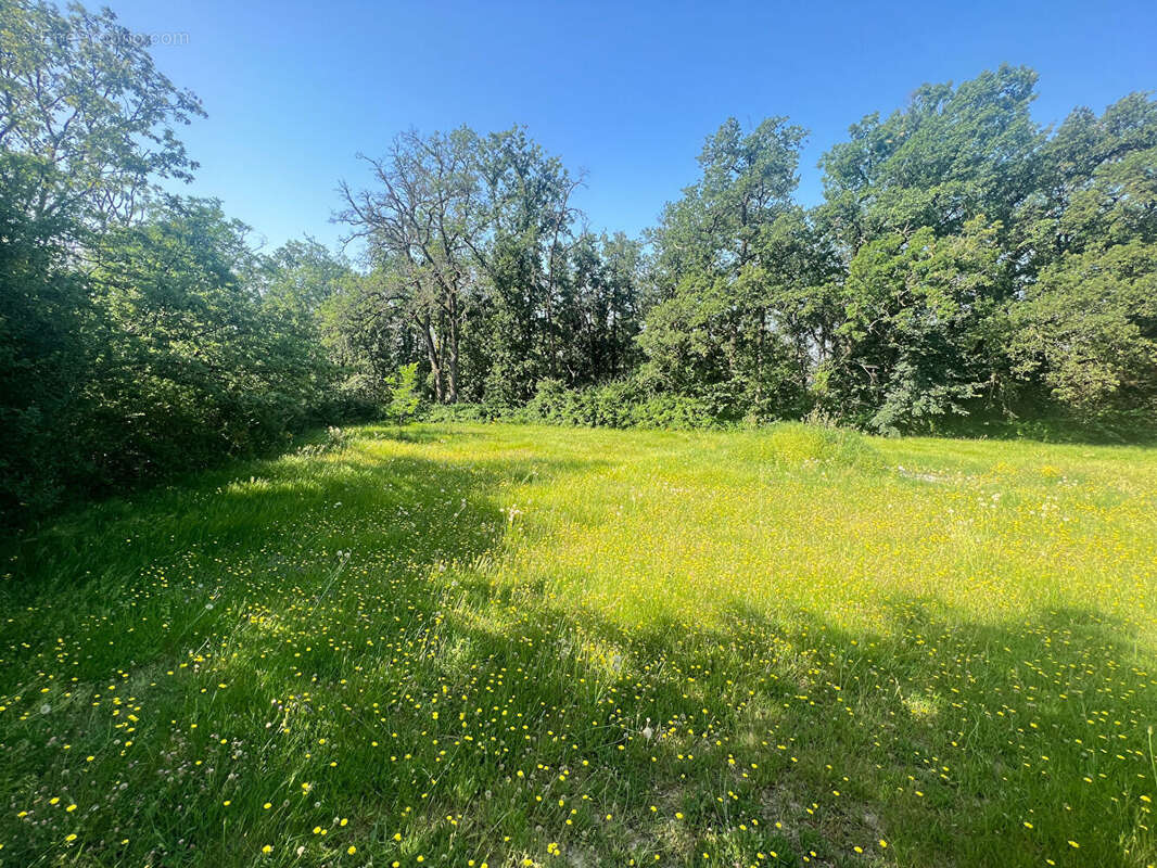 Appartement à MONTRABE