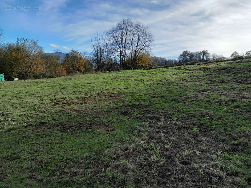 Terrain à POUEYFERRE