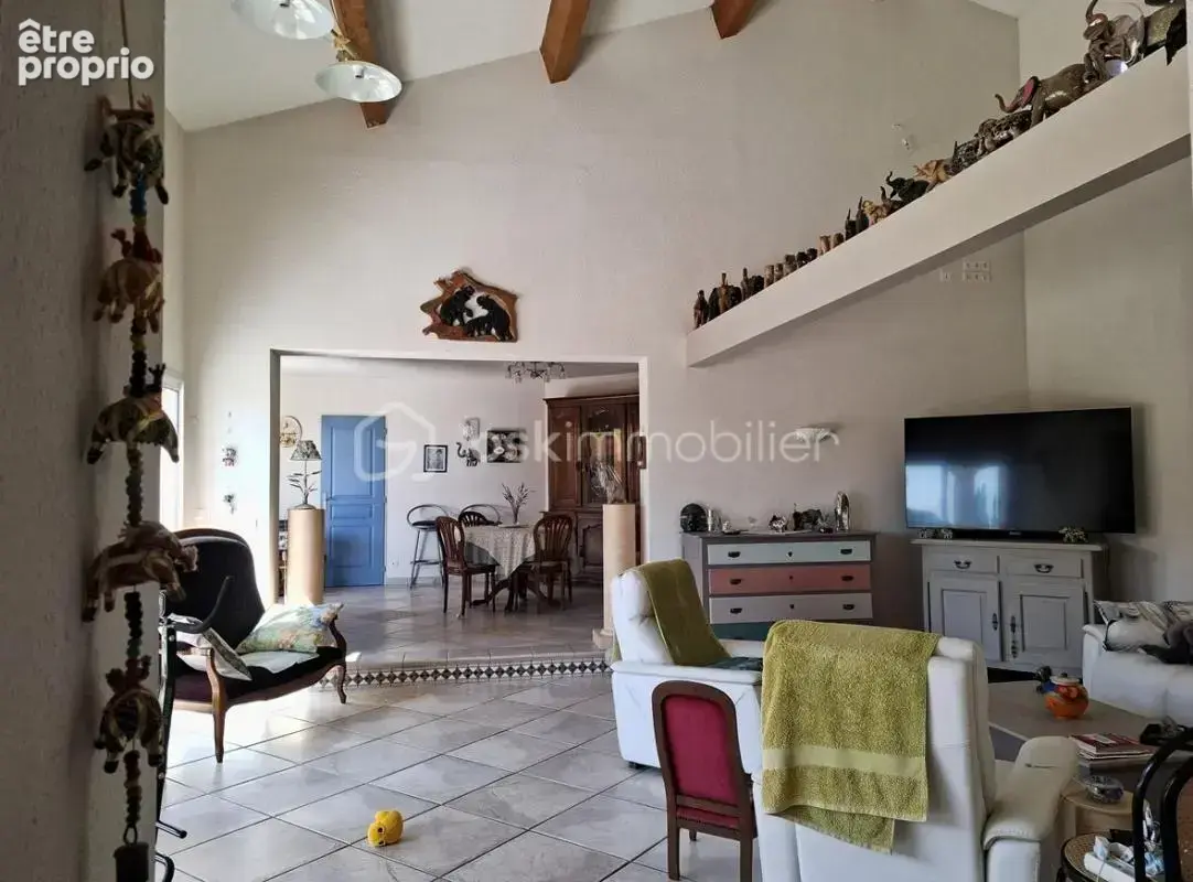 Belle villa languedocienne sur grand terrain - photo 4