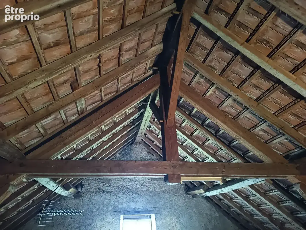 Maison sans vis à vis de deux appartements avec un très beau terrain avec un garage . - photo 10