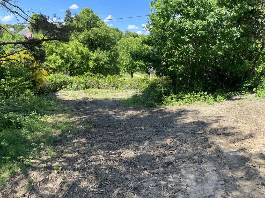 Terrain à SAINT-SORNIN-LAVOLPS