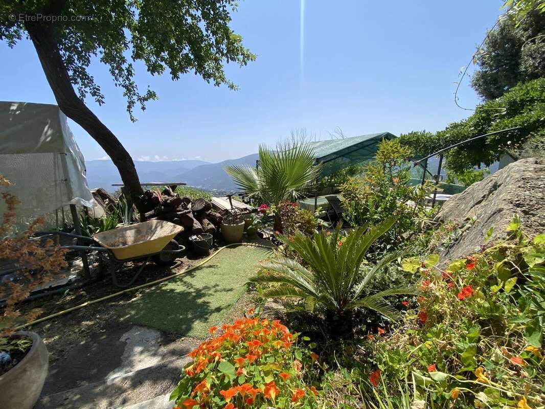 Terrain à BERRE-LES-ALPES