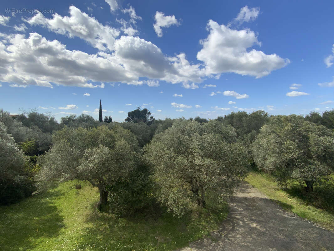 A quelques pas de la place aux herbes magnigique terrain de 7300 m2 constructible. - photo 2